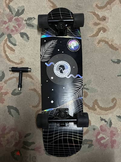Skate board cruiser