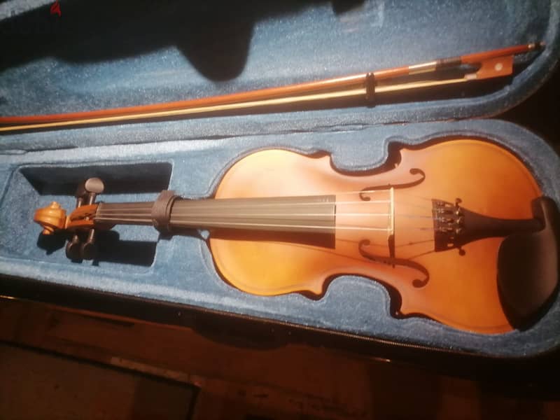 violin for sale 3