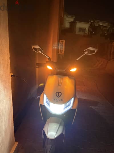 Tailg Zebra 2025