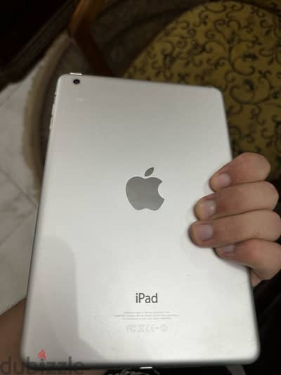 iPad mini