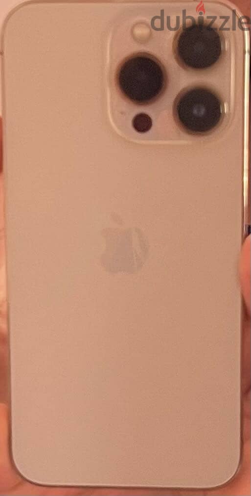 Apple - iPhone 13 Pro 1