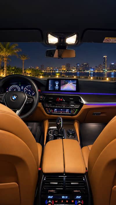BMW 520 2019