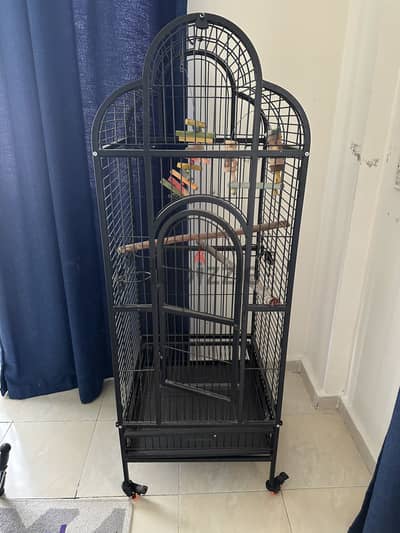 Bird cage