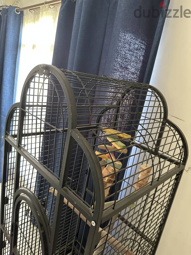 Bird cage 1