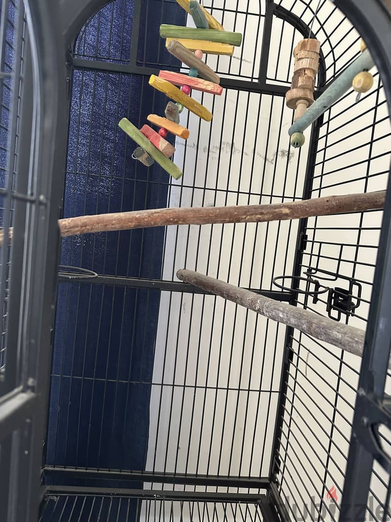 Bird cage 2