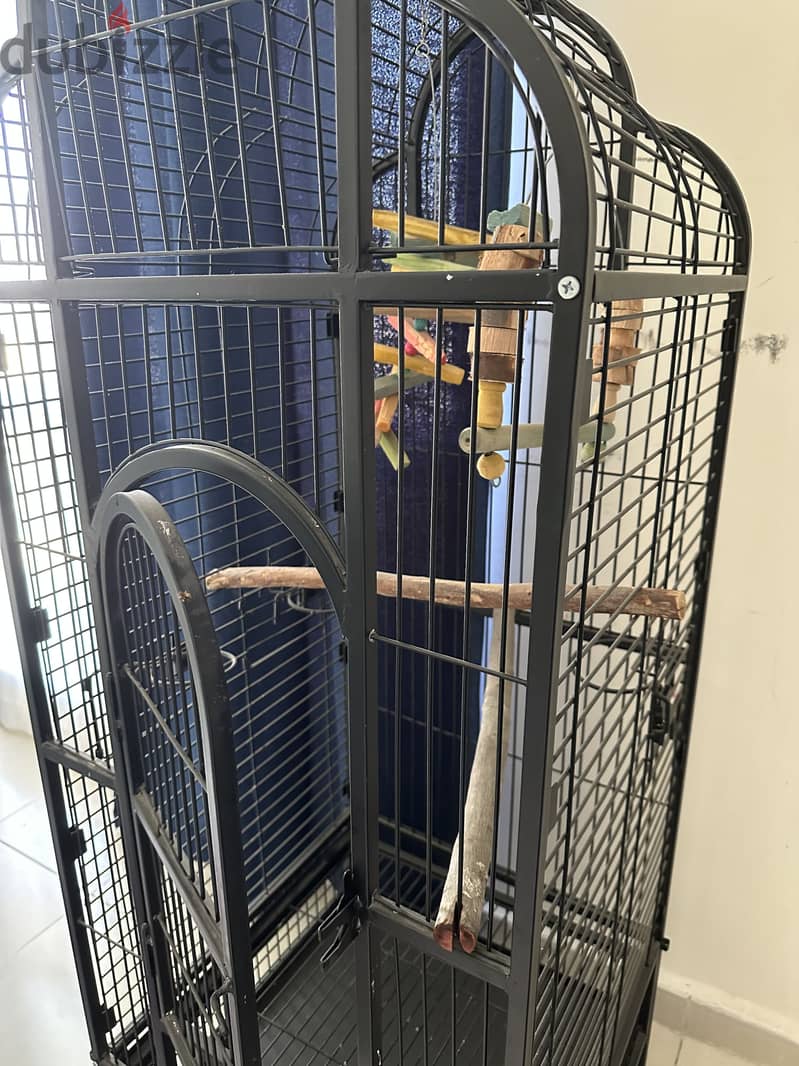 Bird cage 3