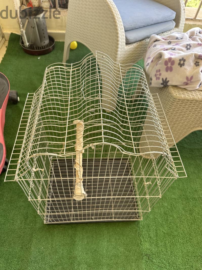 Bird cage 1