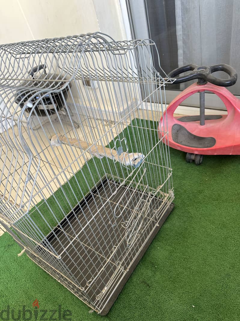 Bird cage 2