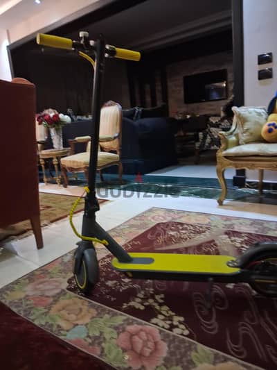 electric scooters