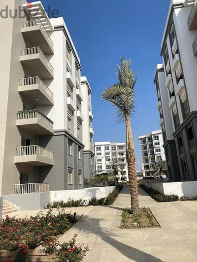 apartment for rent at park corner Hyde park