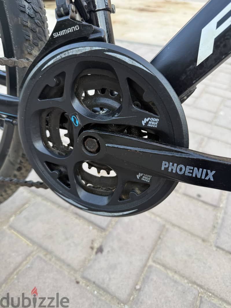 Phoenix 10