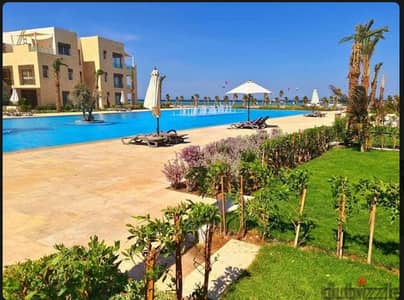شاليه للايجار في الجونه أرضي بجاردن مباشر علي البول في منجروفي