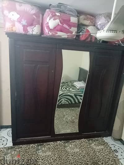 حدائق حلوان شارع جمال عبد الناصر