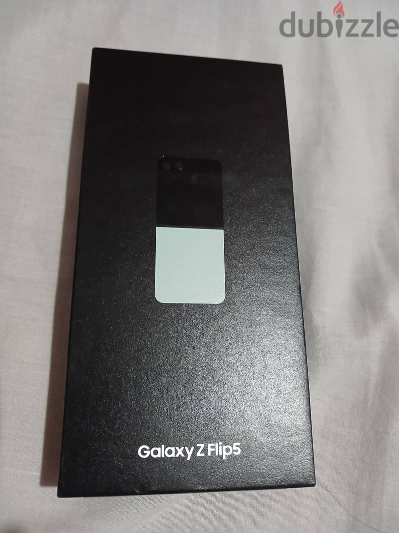 Samsung Z Flip 5 1