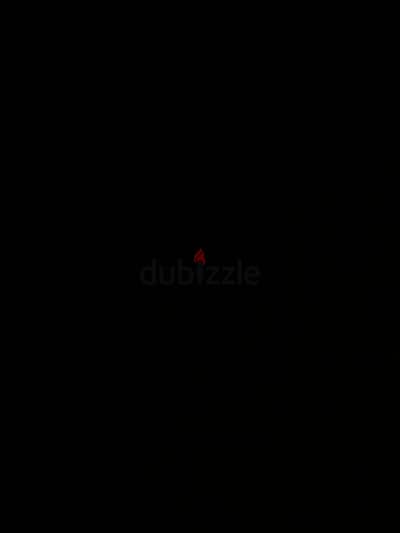 عايز قط او قطه صغيره للتبني