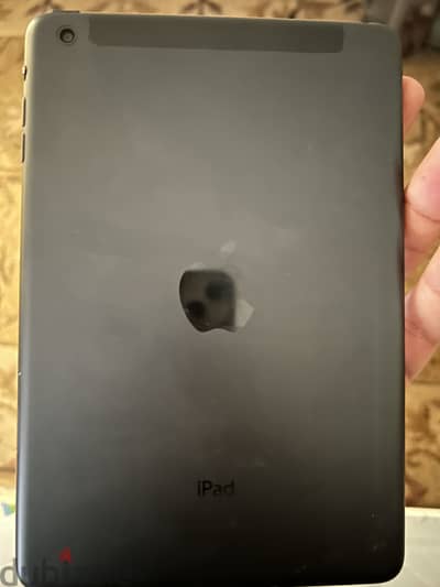 Ipad Mini (Wifi and Sim Card)