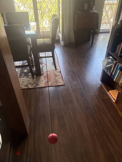 Ball on a rope