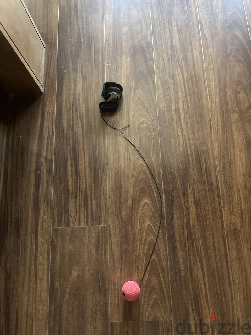 Ball on a rope 1