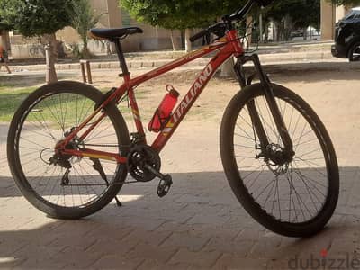 italiano bike 29
