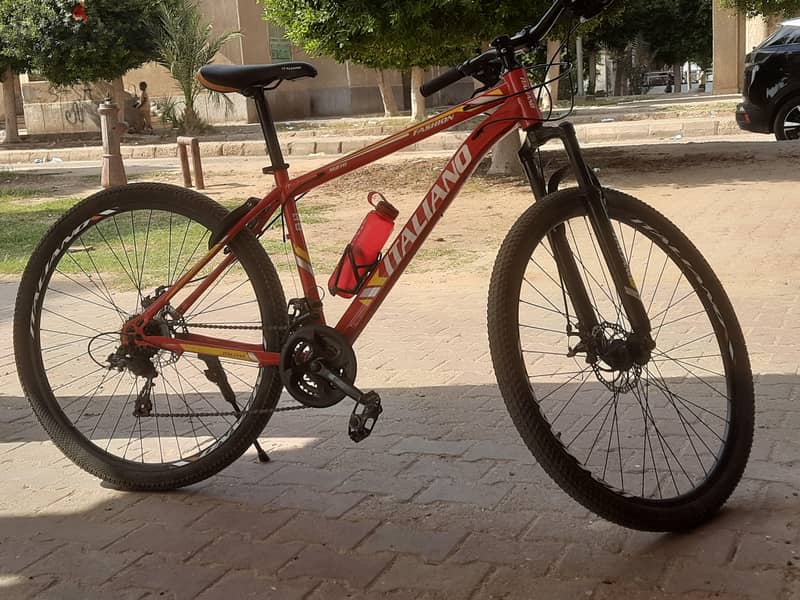 italiano bike 29 2