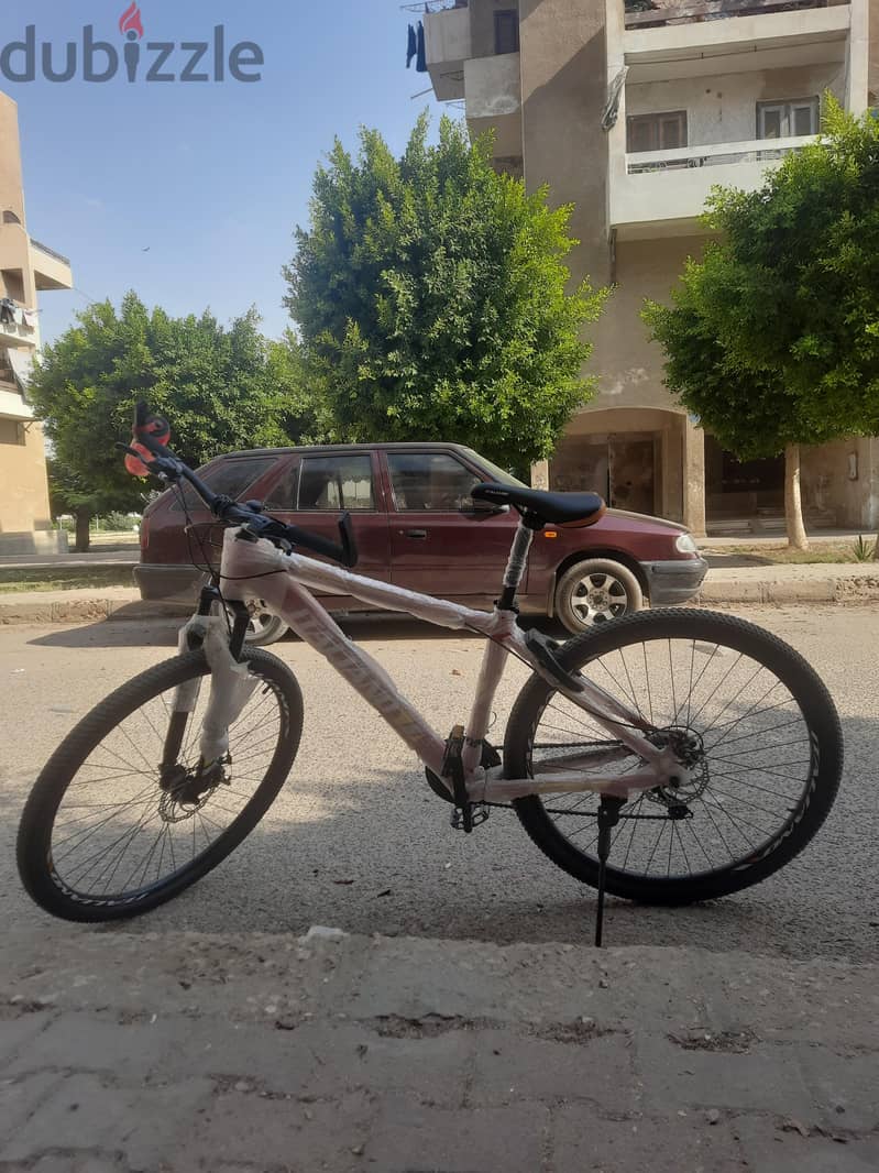 italiano bike 29 3