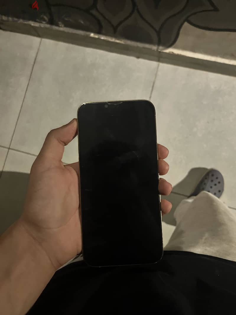 Apple - iPhone 13 Pro Max 2