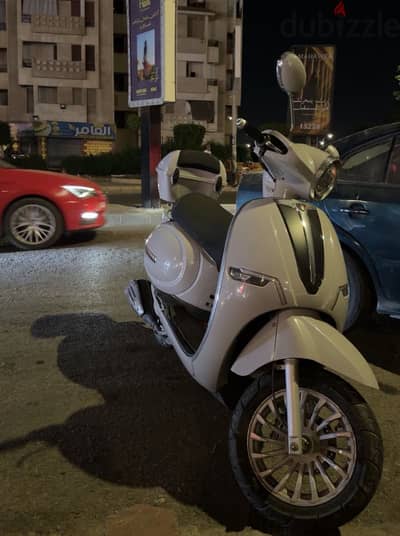 Shady mahmoud