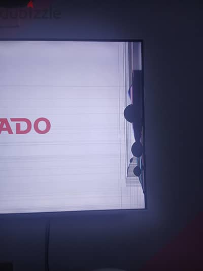 مصطفى