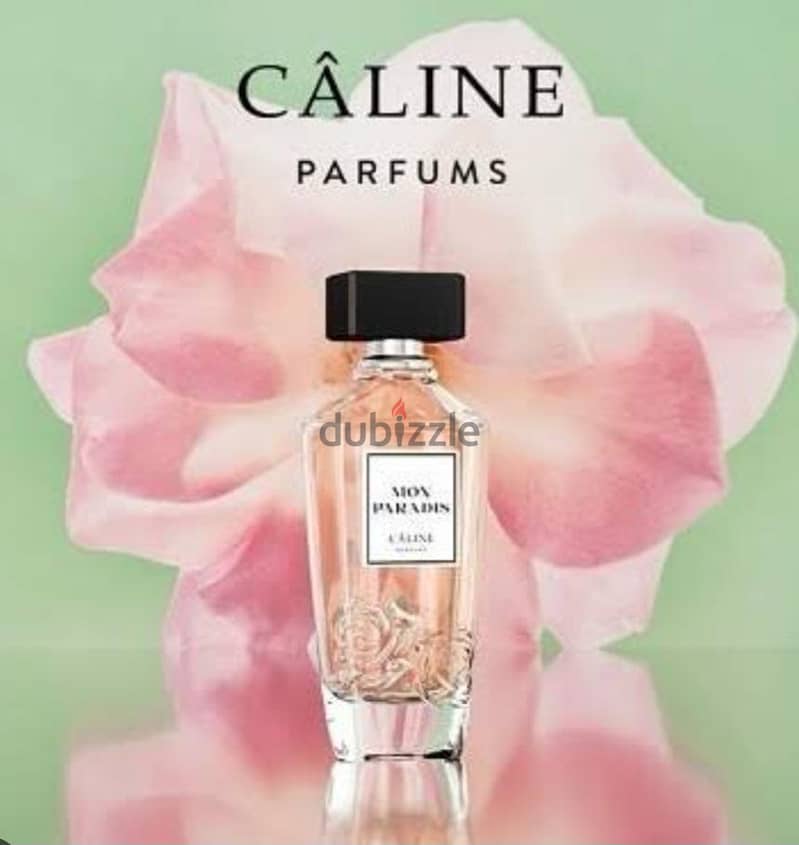 pafum 1
