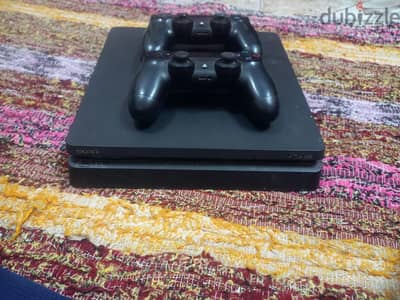 المنيب