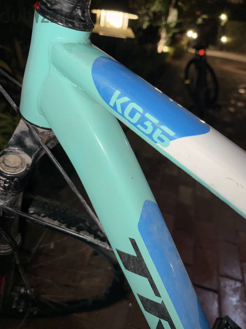 Trinx KO36 5