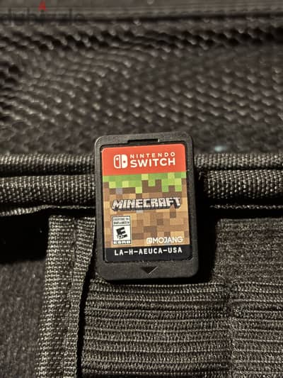 Nintendo switch (Minecraft)
