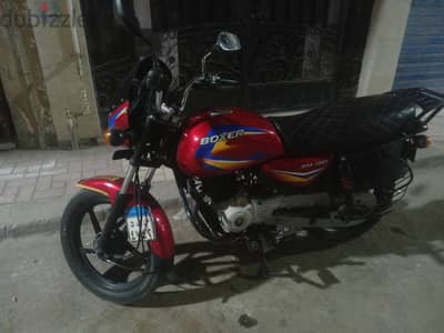 boxer