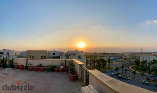 Furnished Studio for Rent – Courtyard, Beverly Hills Sheikh Zayed Furnished Studio for Rent – Courtyard, Beverly Hills Sheikh Zayed