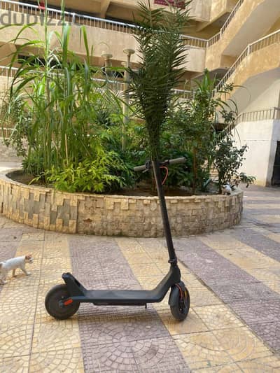 Xaomi electric scooter for sale