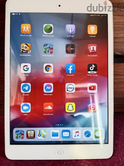 ipadmini2