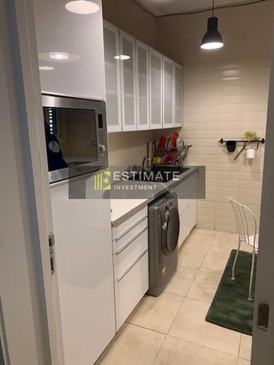 Furnished apartment for rent in The Village.