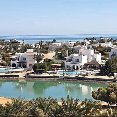 امتلك فيلا 4 غرف  في نيو جونة أوراسكوم | Lagoon View + Sea View | Private Pool | موقع مميز