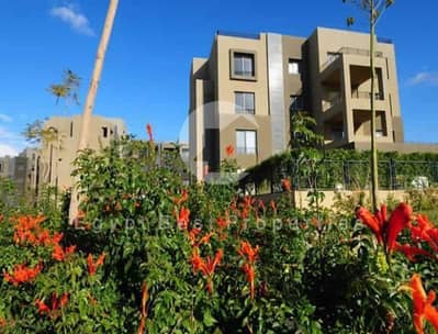 امتلك Ground Apartment Fully Finished في Palm Parks بمقدم 5% وتقسيط 8 سنوات – 132م وغرفتين نوم