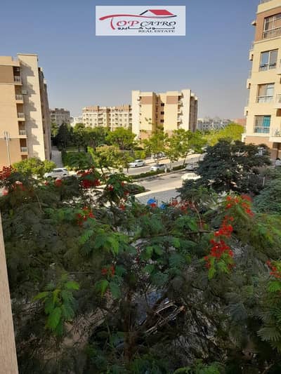 شقة للبيع فى مدينتى b11 دور متكرر خالصه الثمن تخصيص