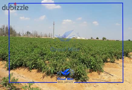 ارض ملك للبيع -70 فدان - الكيلو 68 طريق مصر اسكندرية الصحراوي