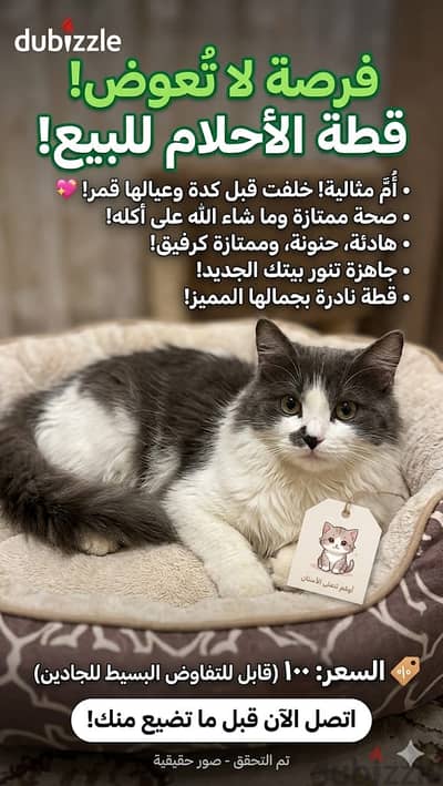 الاسم: سكرة