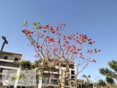لاند سكيب فيو شقة 198م للبيع للاستلام الفوري في بالم هيلز كابيتال جاردنز المستقبل سيتي Palm Hills Capital Gardens Mostakbal City
