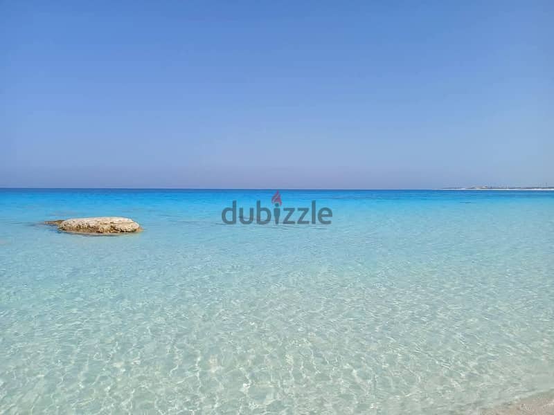 فيلا بـ٤ غرف نوم في ستيلا سيدى عبد الرحمن، صورة ٤ من ١٦