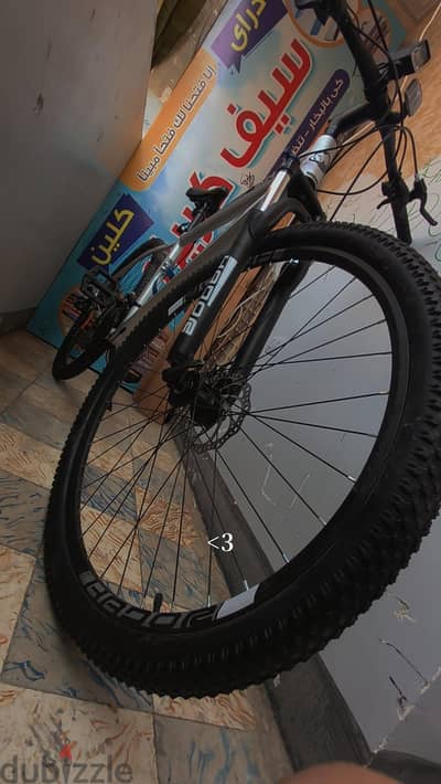 عجله Hador 29
