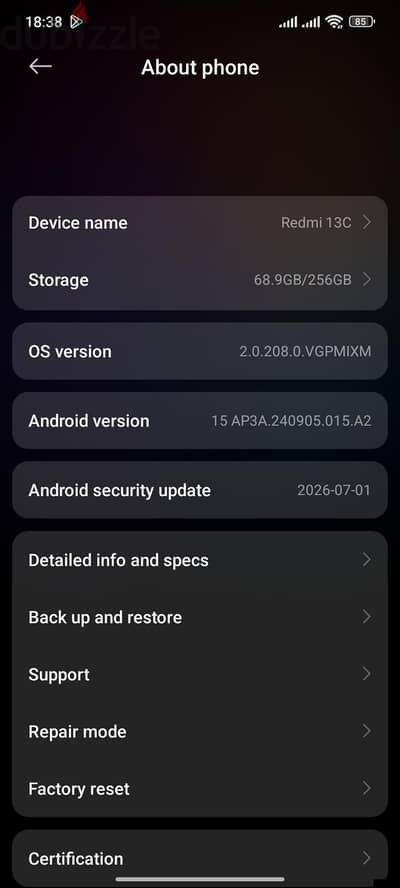 256 g ريلمى 13 c