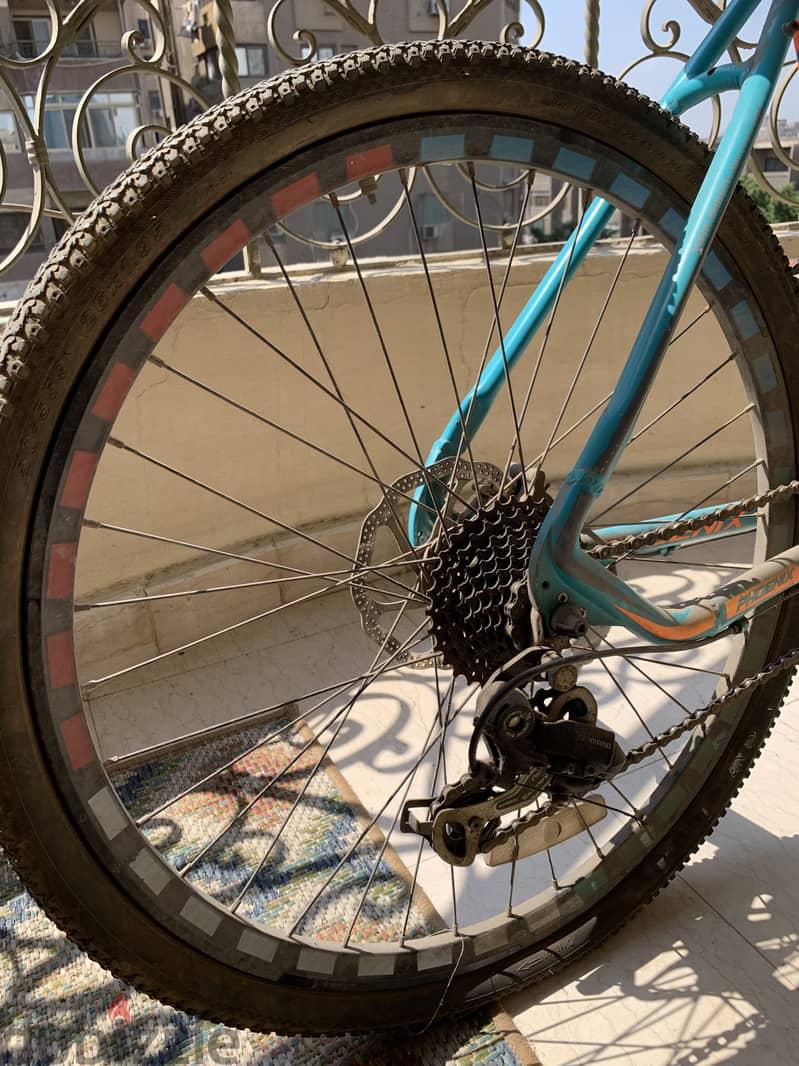 Phoenix 2627 – 26” Mountain Bike 2