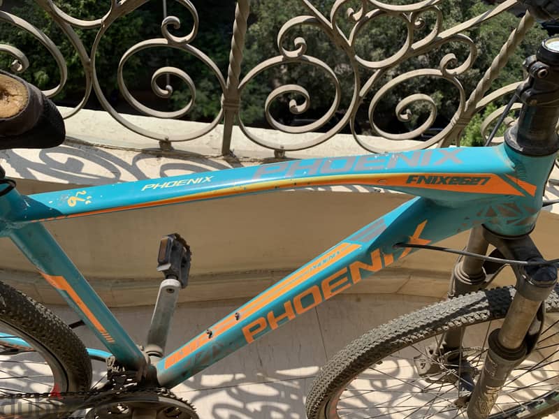 Phoenix 2627 – 26” Mountain Bike 4