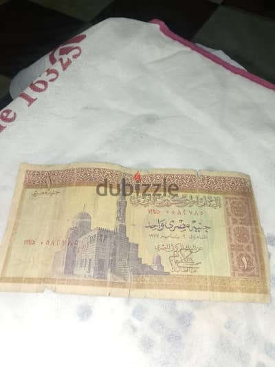 للبيع باعلى سعر وعندى جنيه الجملين بس لسه هجيلى بكره