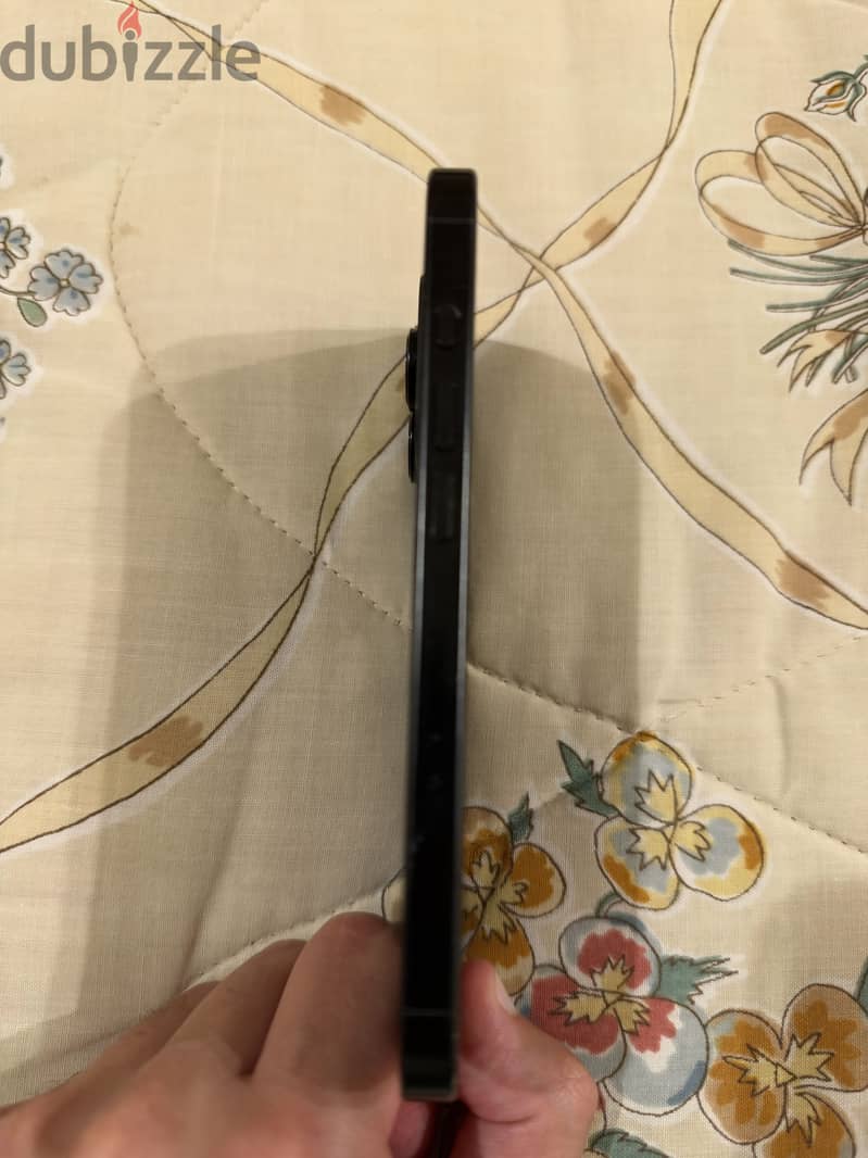 Apple - iPhone 16 Pro 2